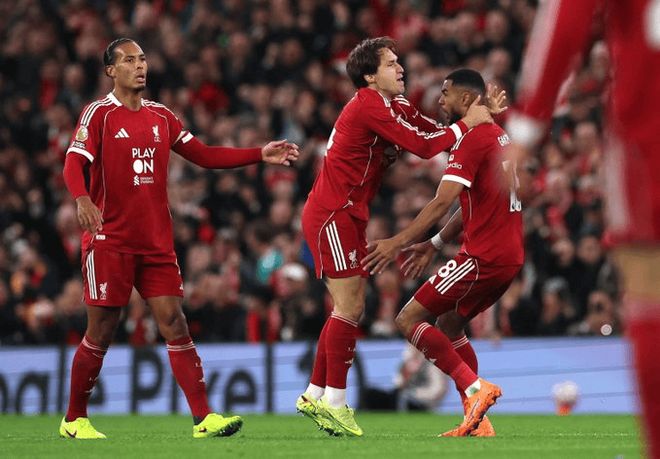 滴滴看球-RS直播看球网站