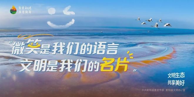 滴滴看球-RS直播看球网站