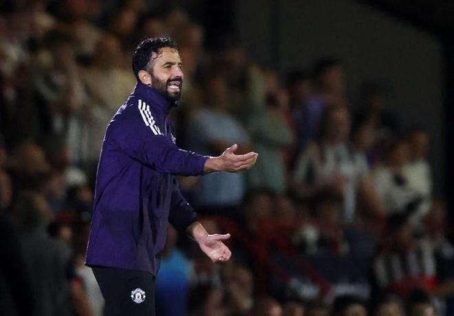 滴滴看球-RS直播看球网站