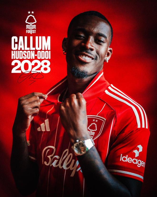 滴滴看球-RS直播看球网站